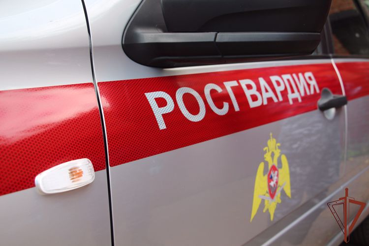 Нарядом вневедомственной охраны Росгвардии в Адыгее задержаны подозреваемые в в краже
