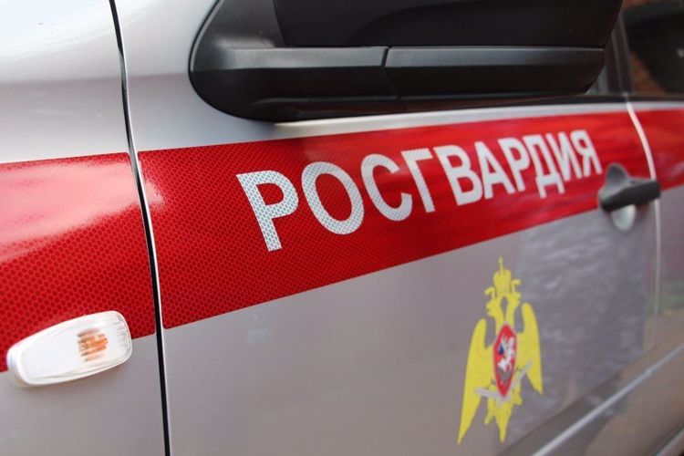 В Адыгее сотрудники вневедомственной охраны Росгвардии пресекли кражу с охраняемого объекта