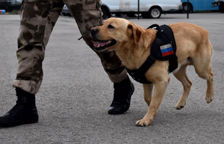 В Адыгее Росгвардия приняла участие в обеспечении правопорядка в период проведения торжественных линеек 