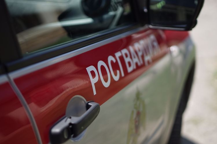 Росгвардия обеспечила правопорядок в период празднования Дня ВДВ в Адыгее