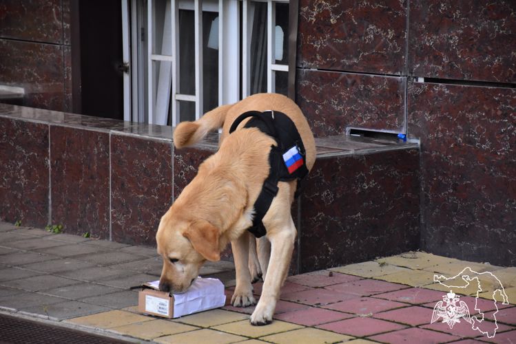 Росгвардия провела в Адыгее занятие с представителями службы судебных приставов