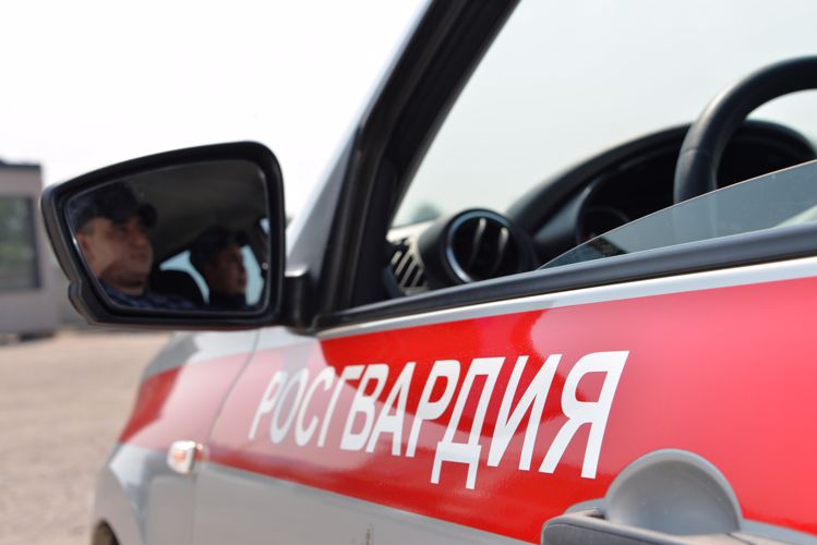 При участии Росгвардии обеспечена безопасность Дня народного единства в Адыгее
