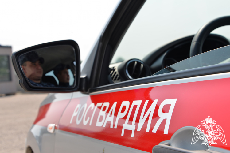 Росгвардия в Адыгее обеспечила  правопорядок Дня молодежи