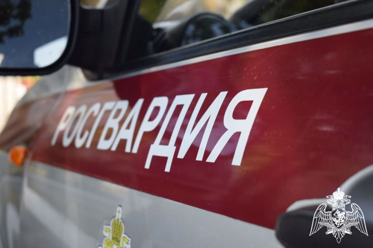 Росгвардейцы приняли участие в обеспечении безопасности празднования Дня репатрианта в Адыгее