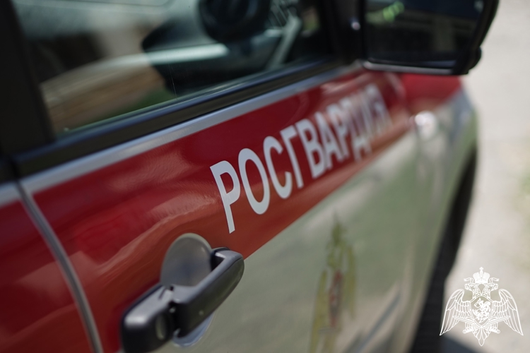 Безопасность мероприятий, посвященных Дню Воздушно-десантных войск в Адыгее обеспечила Росгвардия