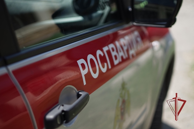 Росгвардия задержала подозреваемого в угоне автомобиля в Адыгее