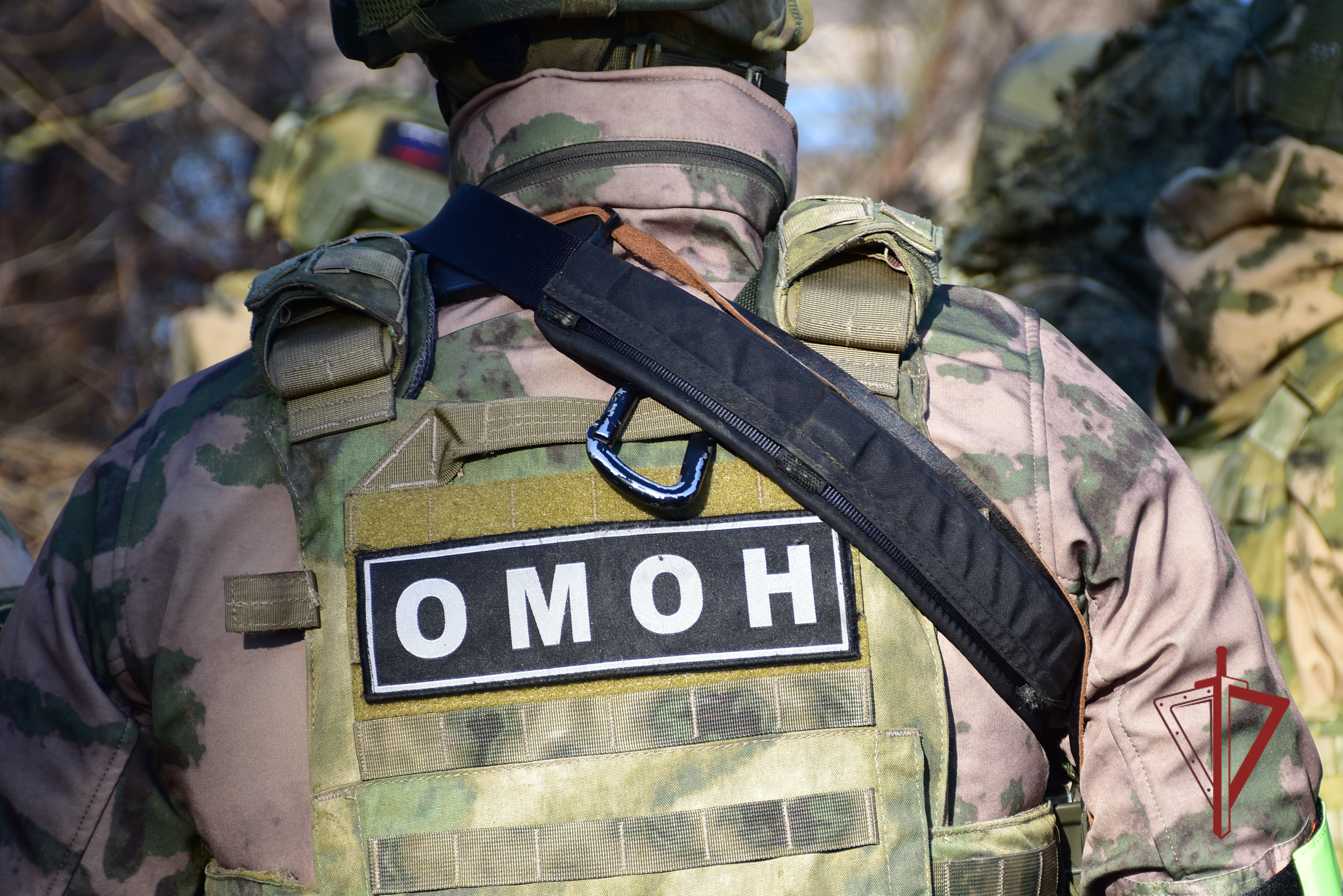 Больше 300 миграционных правонарушений выявили при участии Росгвардии в Адыгее